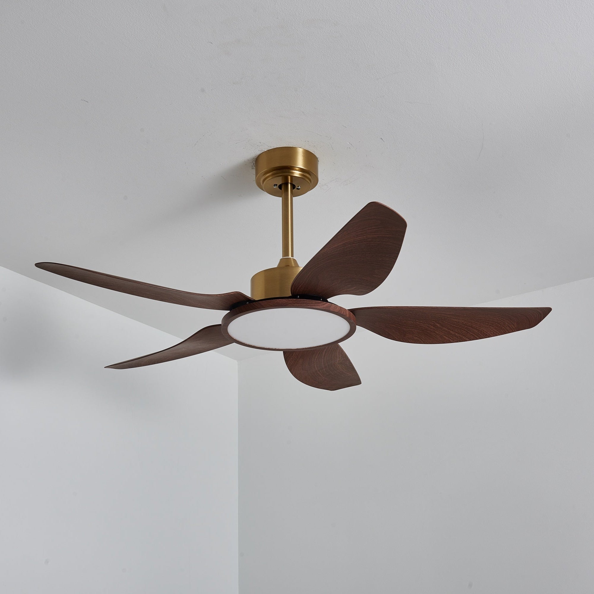Amoro Ceiling Fan Light