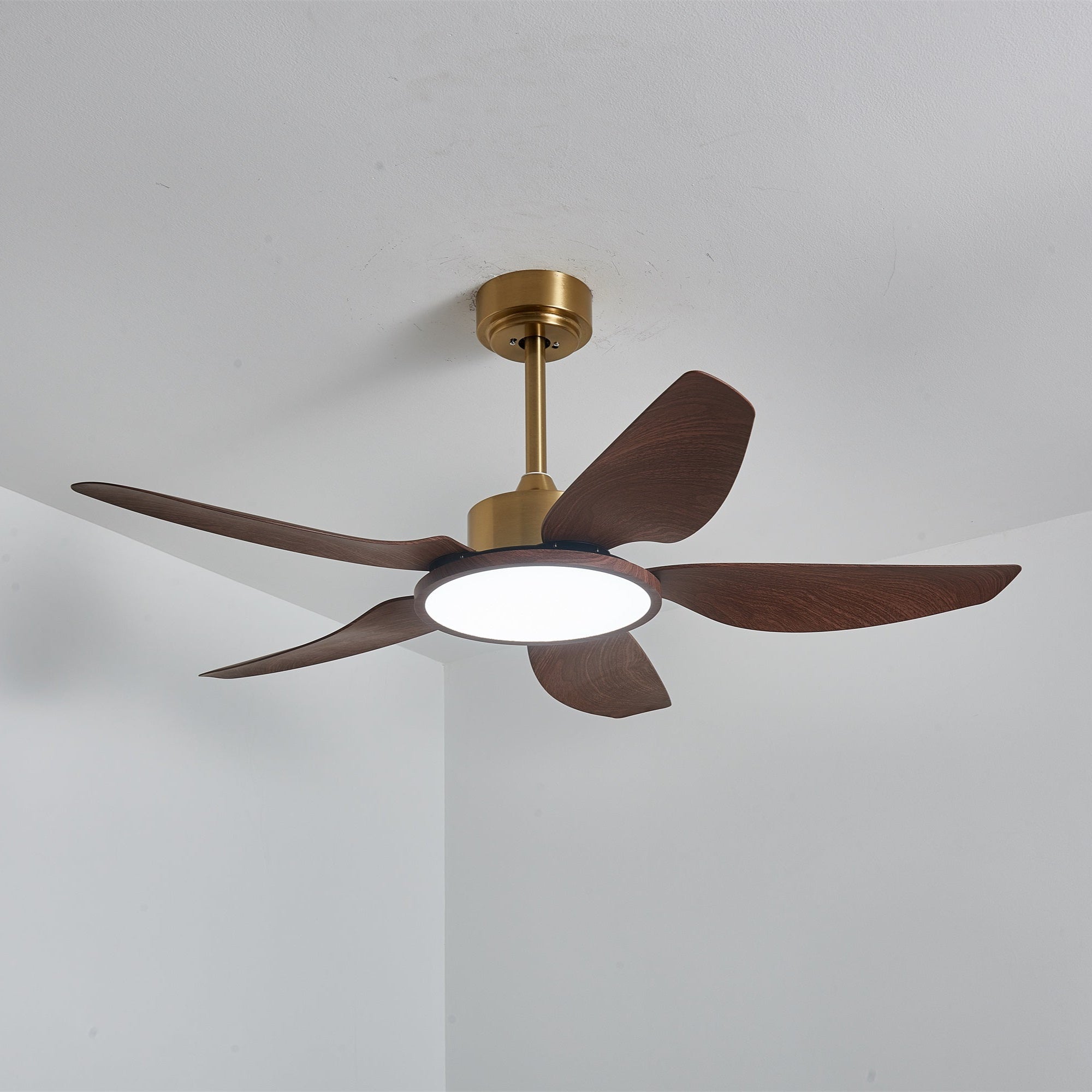 Amoro Ceiling Fan Light