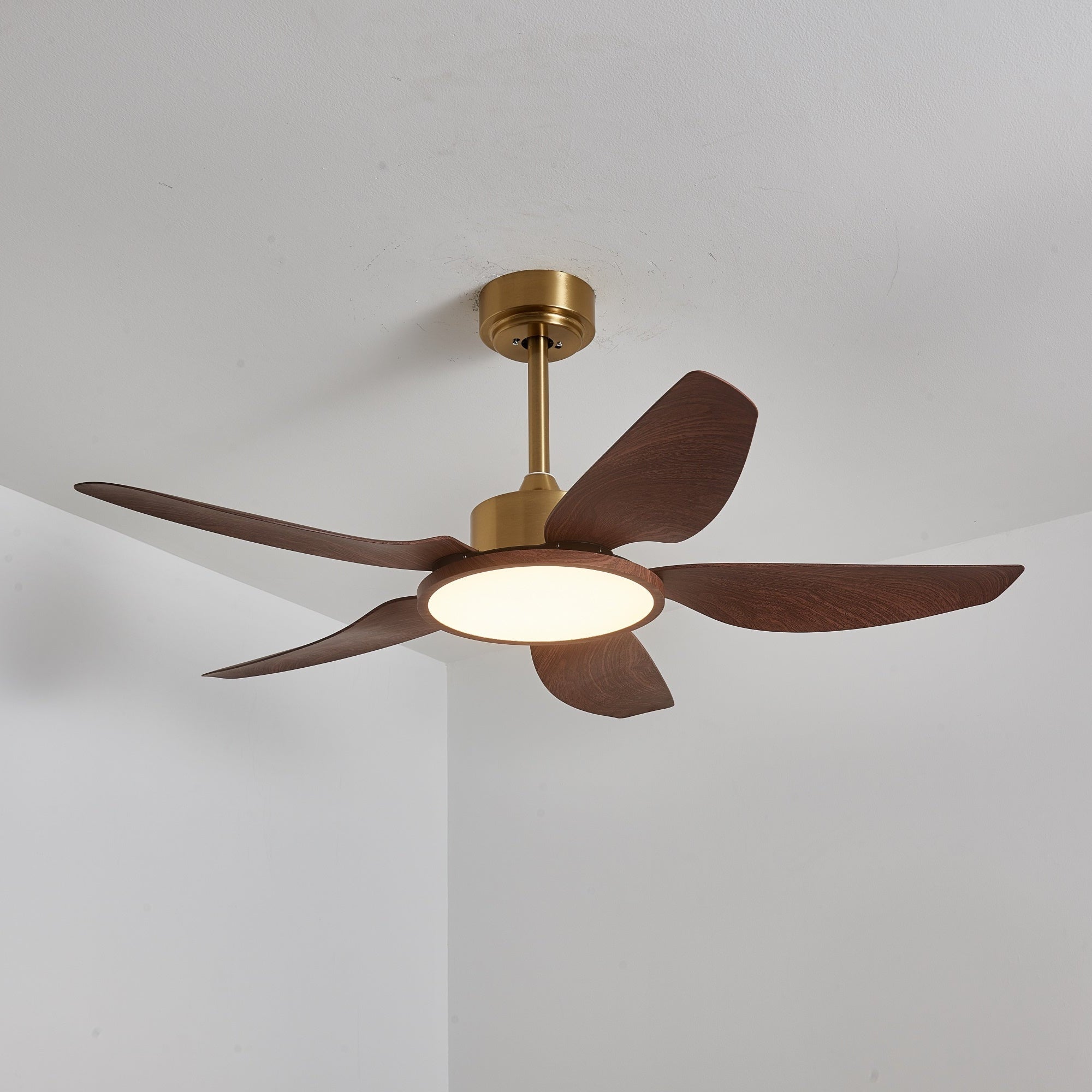 Amoro Ceiling Fan Light