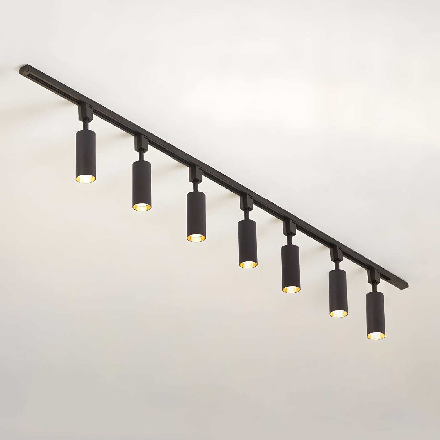 Eronir Cylinder Track Light