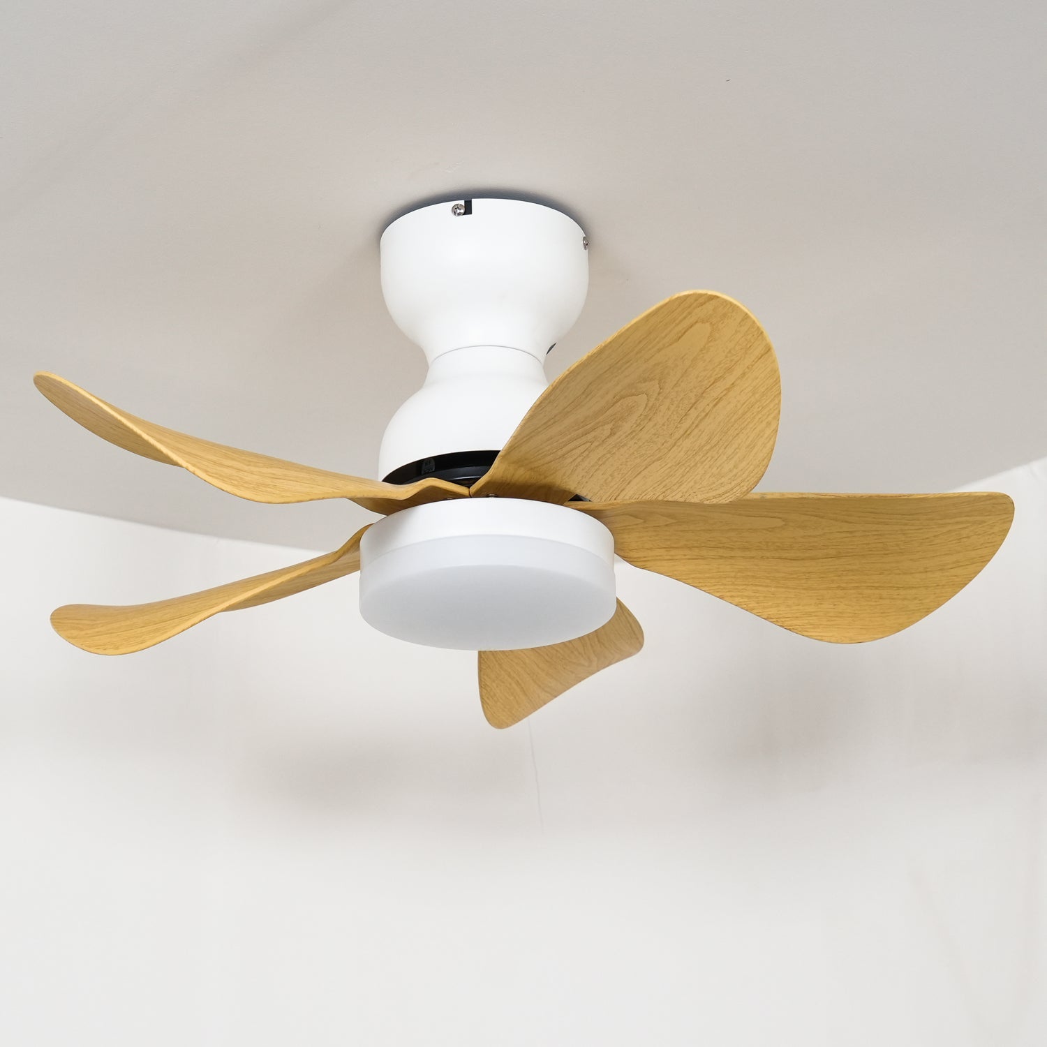 Zoreefa Ceiling Fan Light