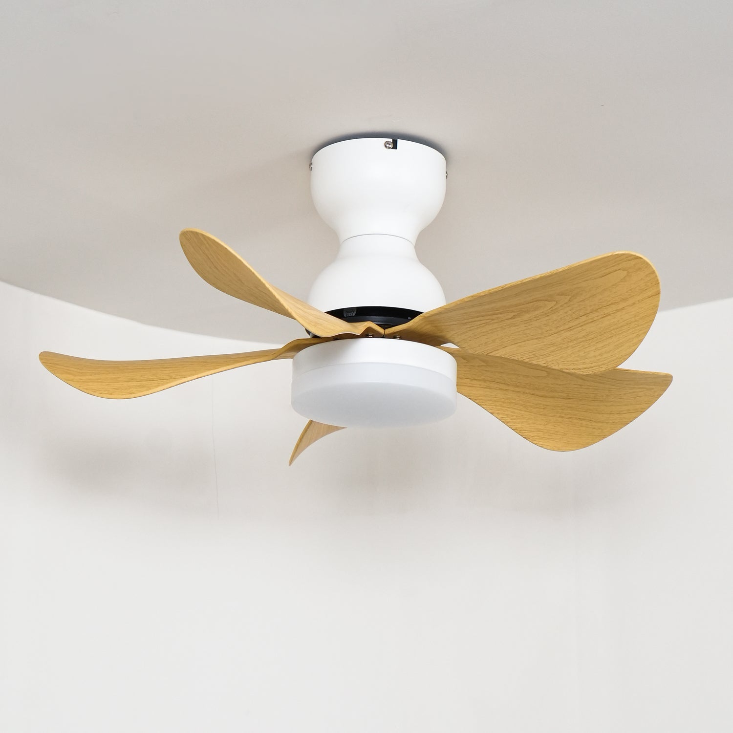 Zoreefa Ceiling Fan Light