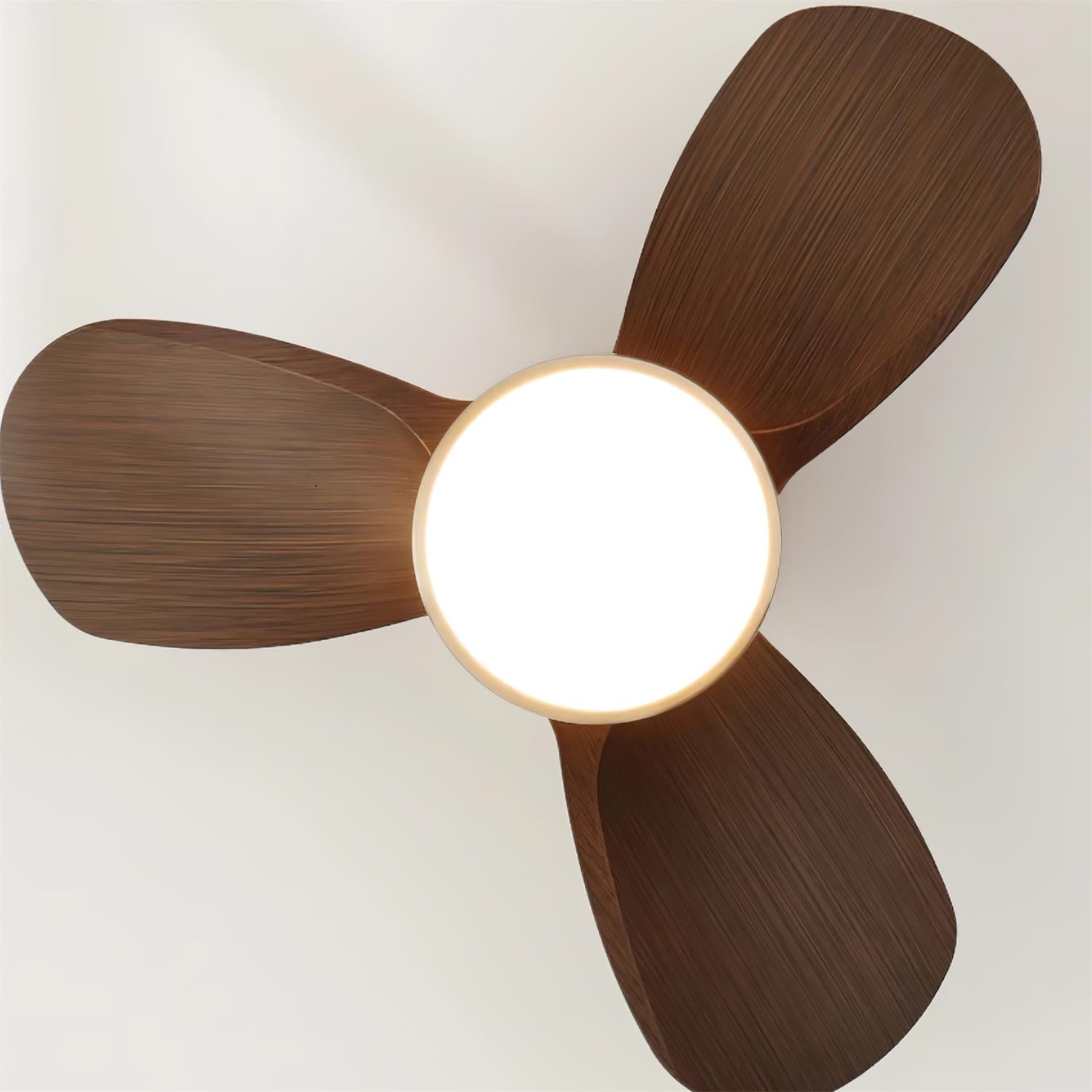 Orevia Ceiling Fan Light