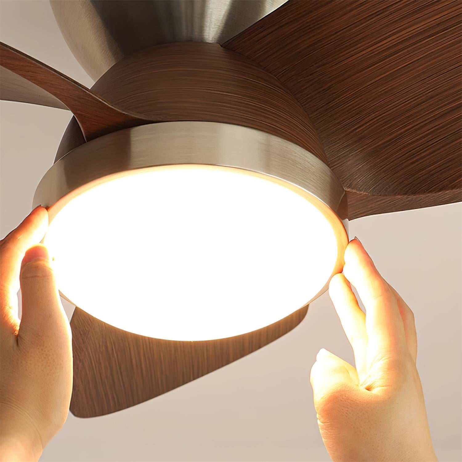 Orevia Ceiling Fan Light