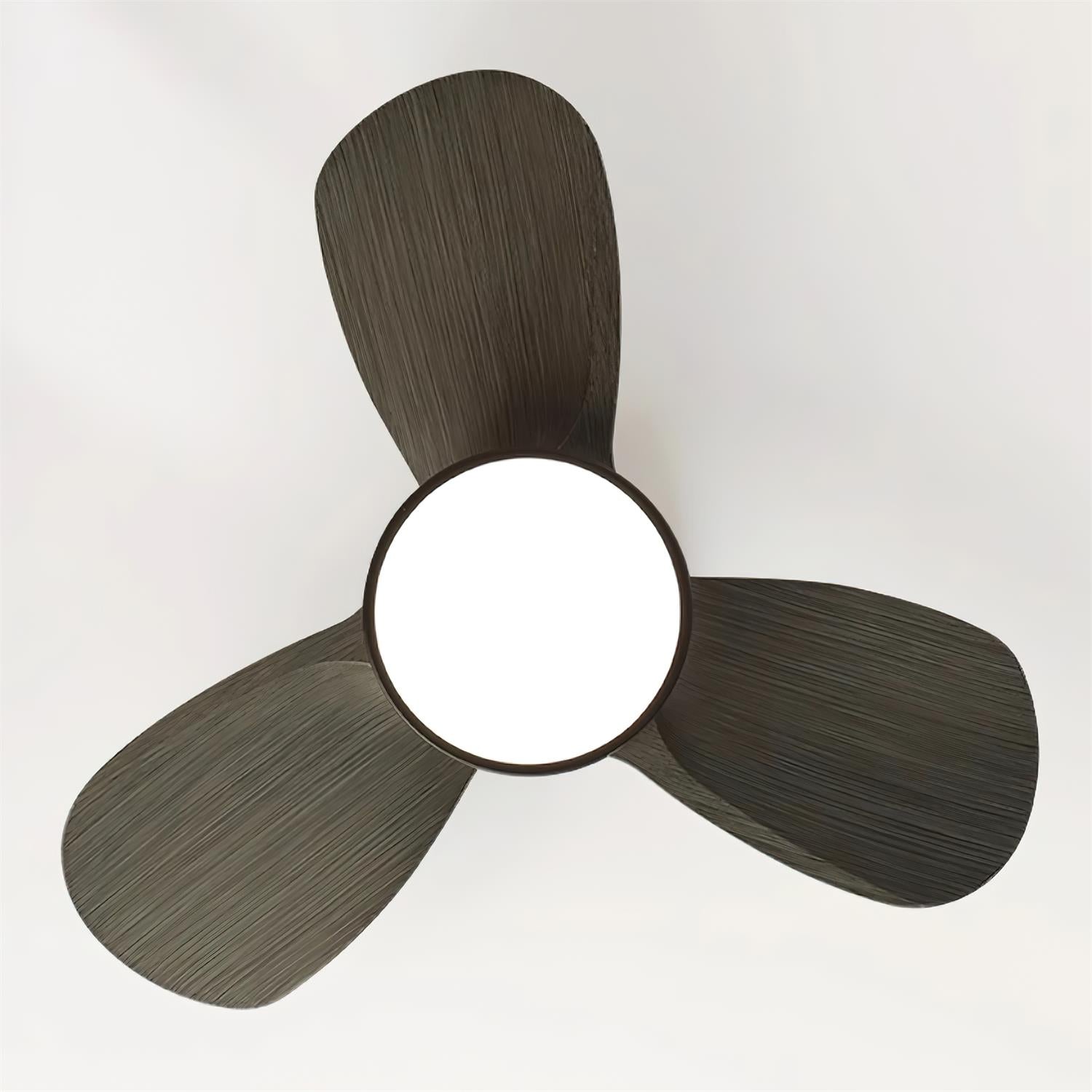 Orevia Ceiling Fan Light