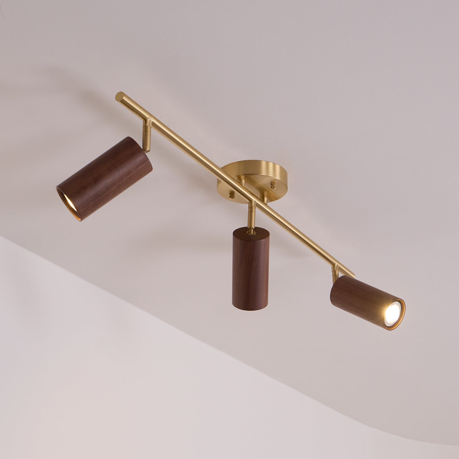 Ganavo Track Ceiling Light
