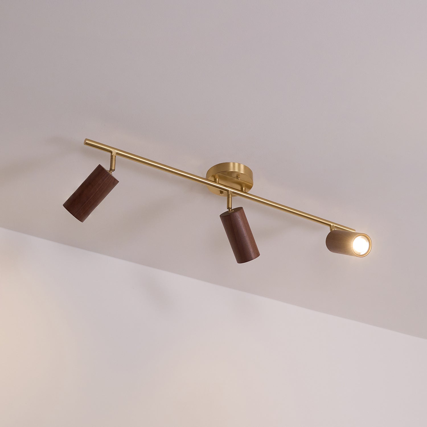 Ganavo Track Ceiling Light