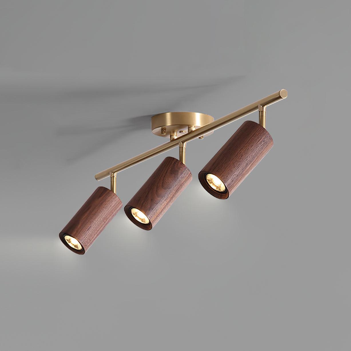 Ganavo Track Ceiling Light