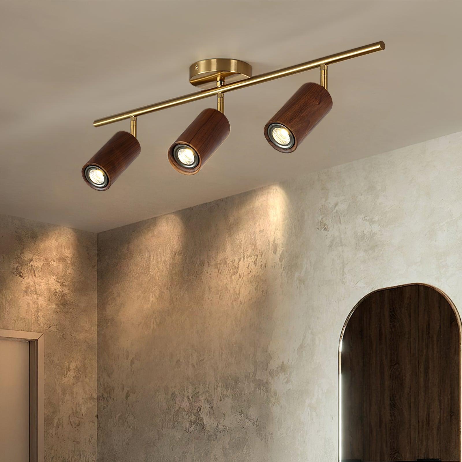 Ganavo Track Ceiling Light
