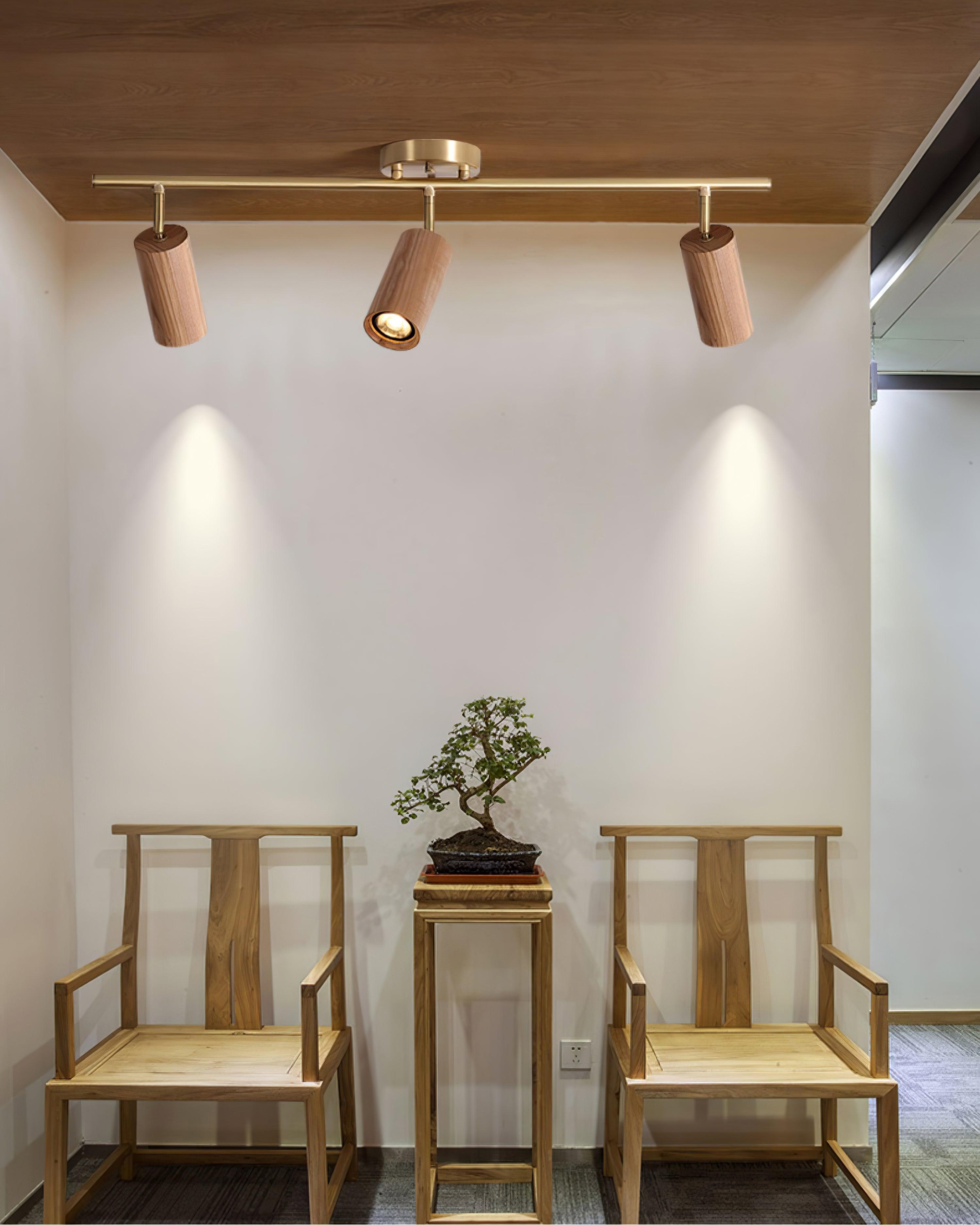 Ganavo Track Ceiling Light