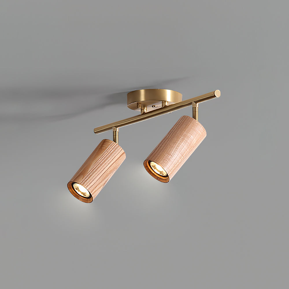 Ganavo Track Ceiling Light