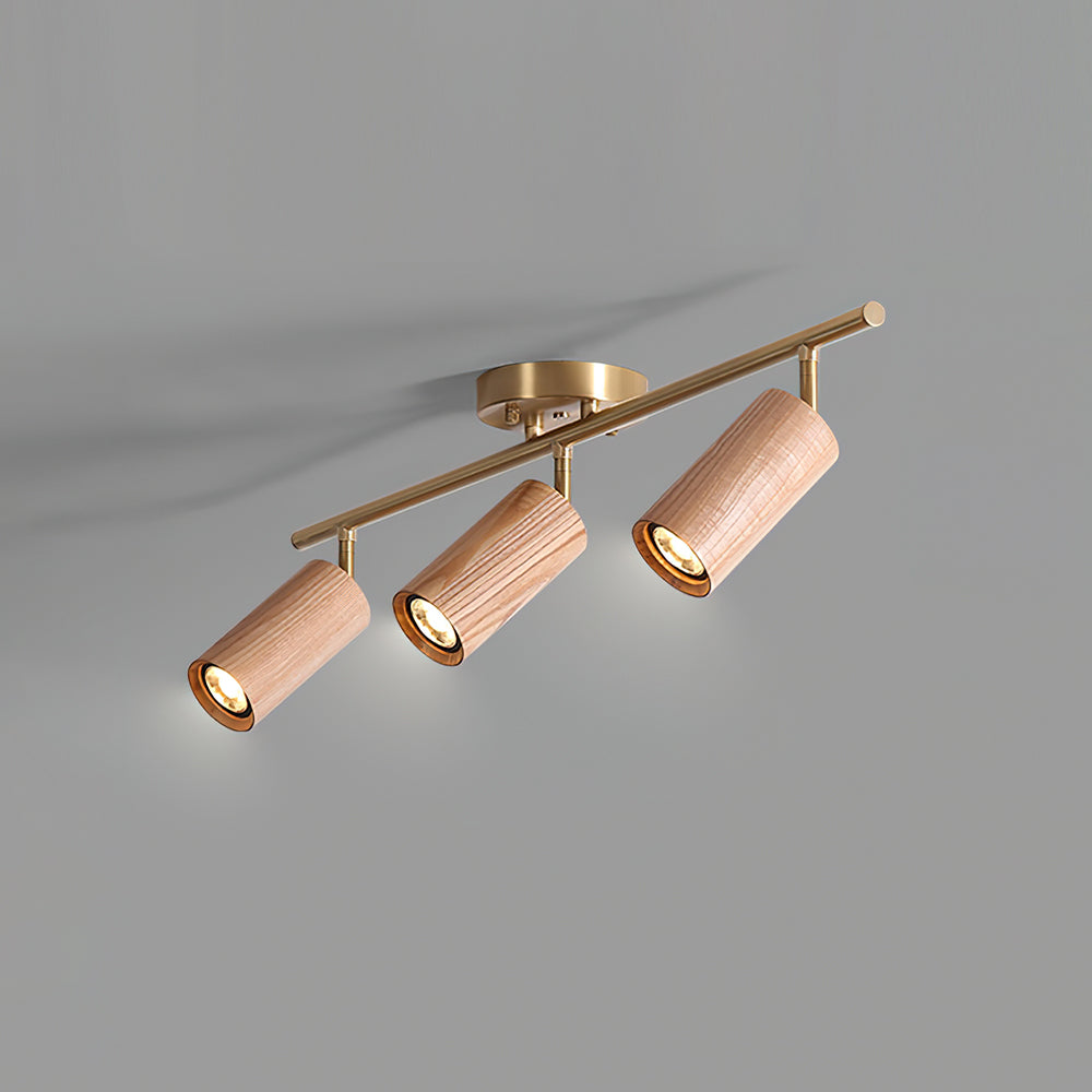 Ganavo Track Ceiling Light