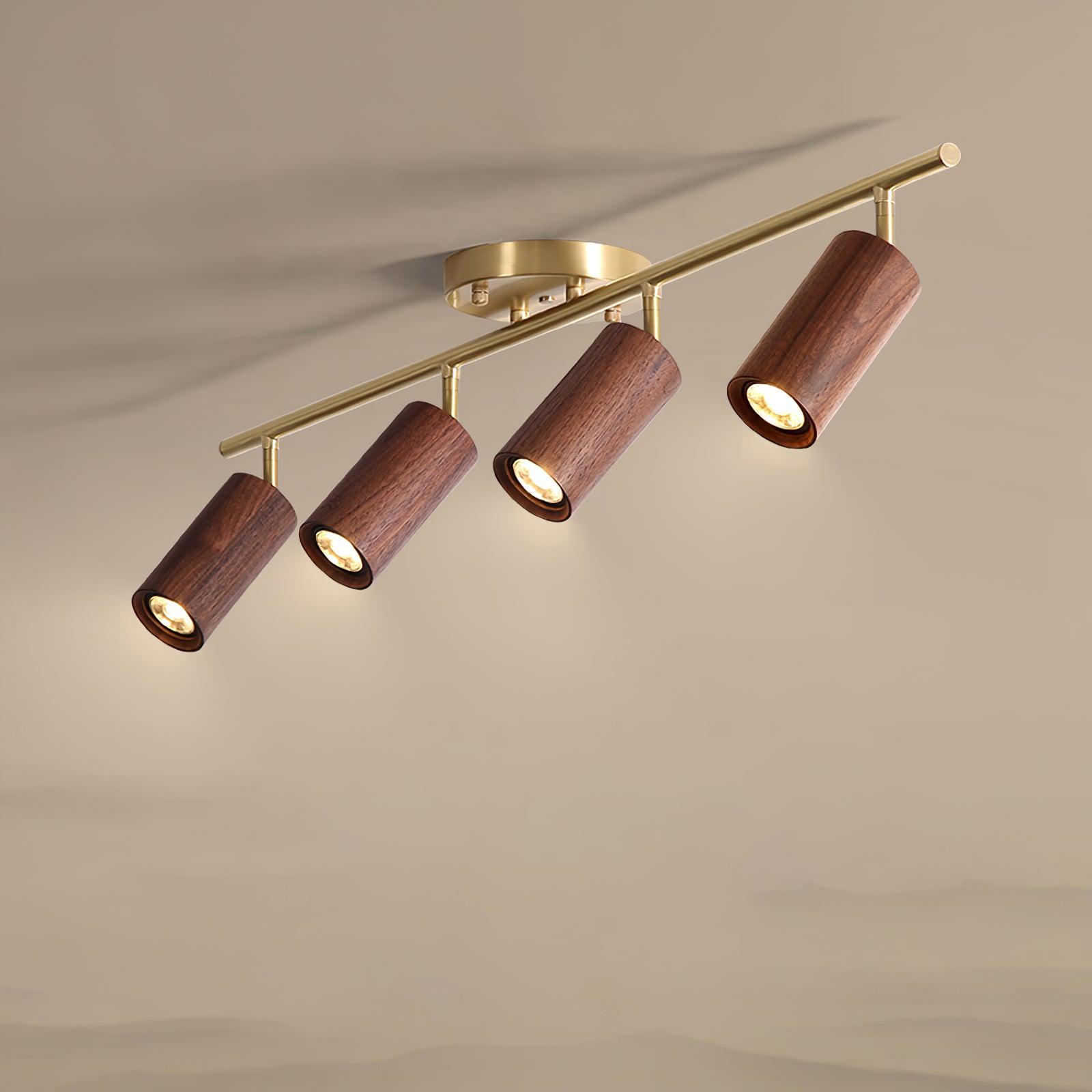 Ganavo Track Ceiling Light