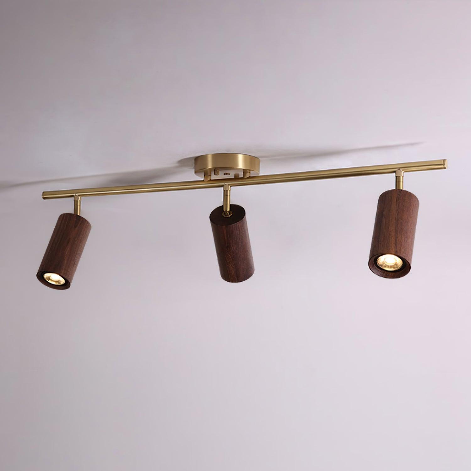 Ganavo Track Ceiling Light