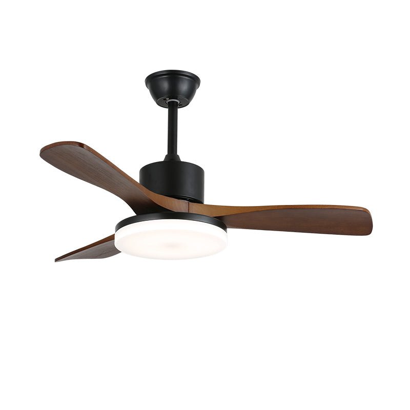 Loreeno Ceiling Fan Light