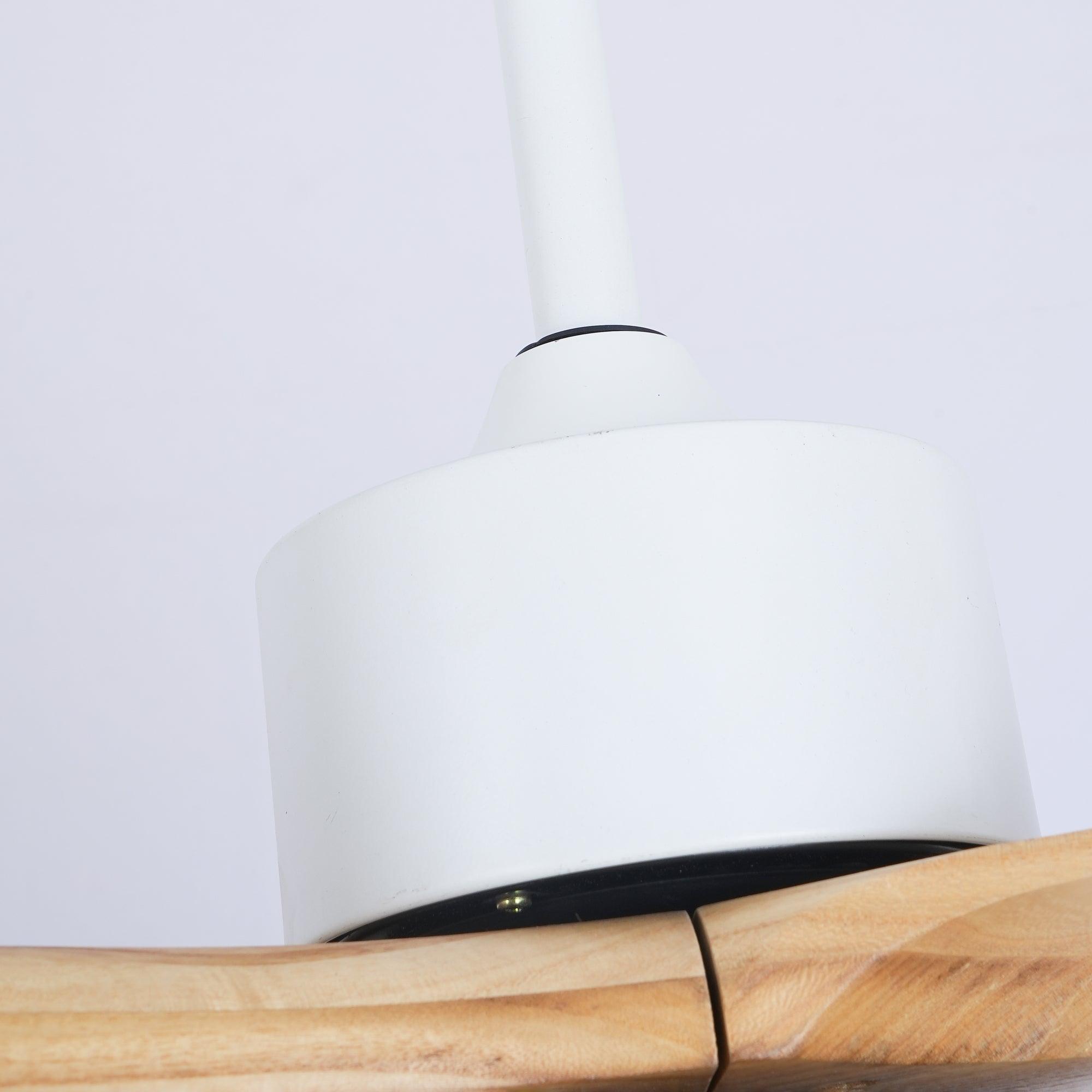 Avolano Outdoor Ceiling Fan Light
