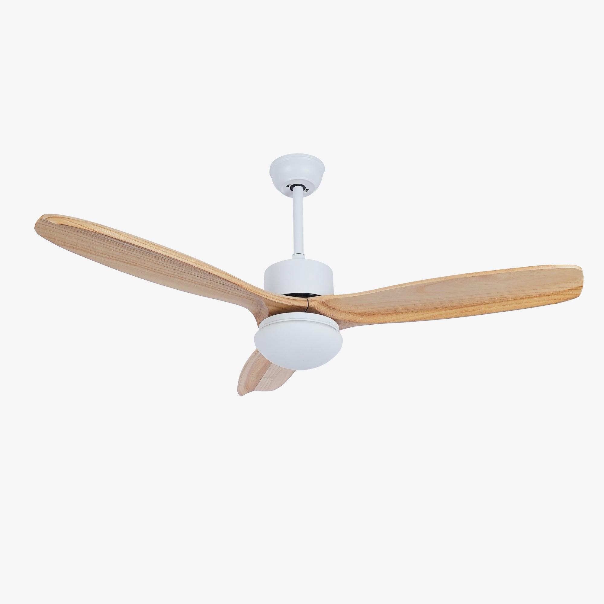 Avolano Outdoor Ceiling Fan Light