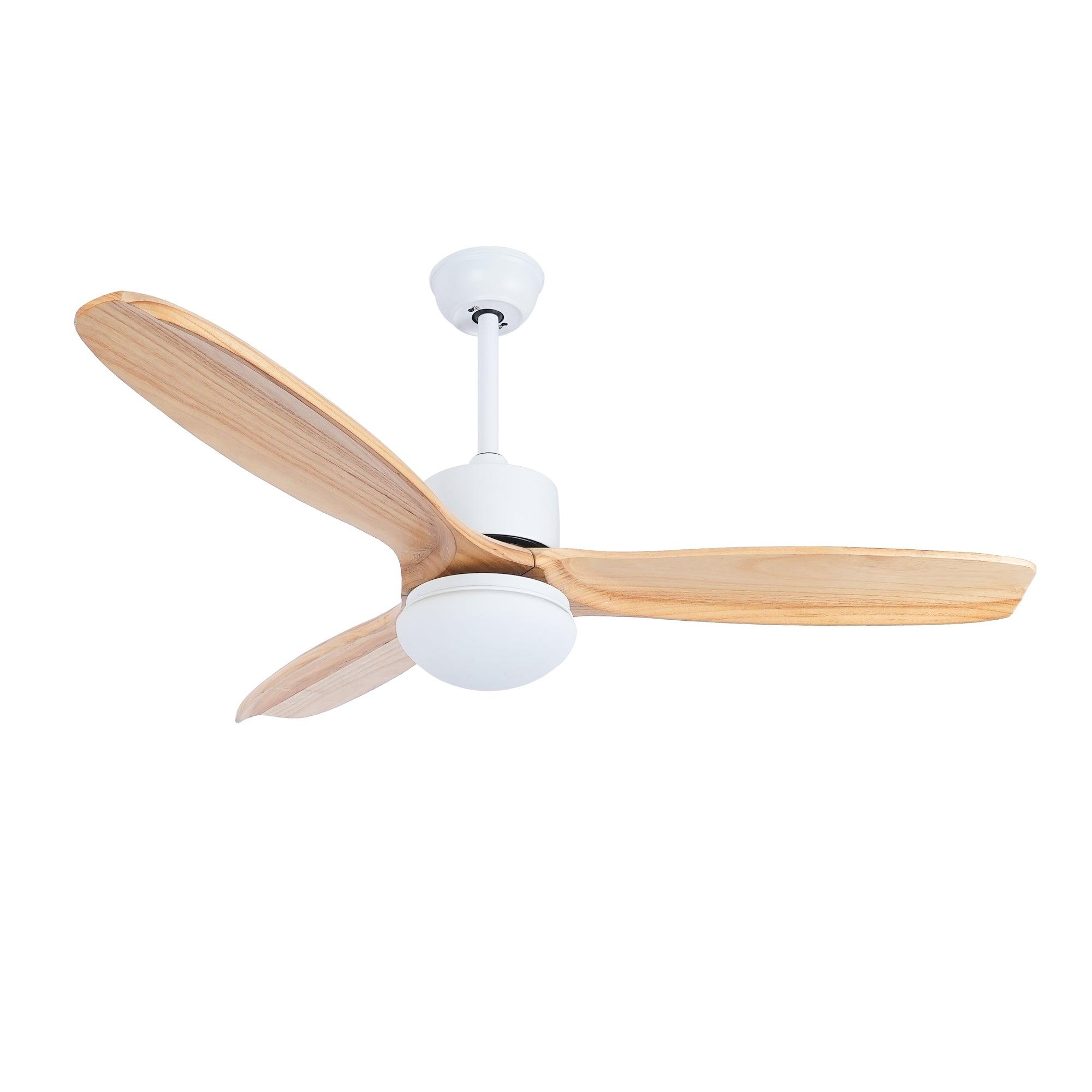 Avolano Outdoor Ceiling Fan Light