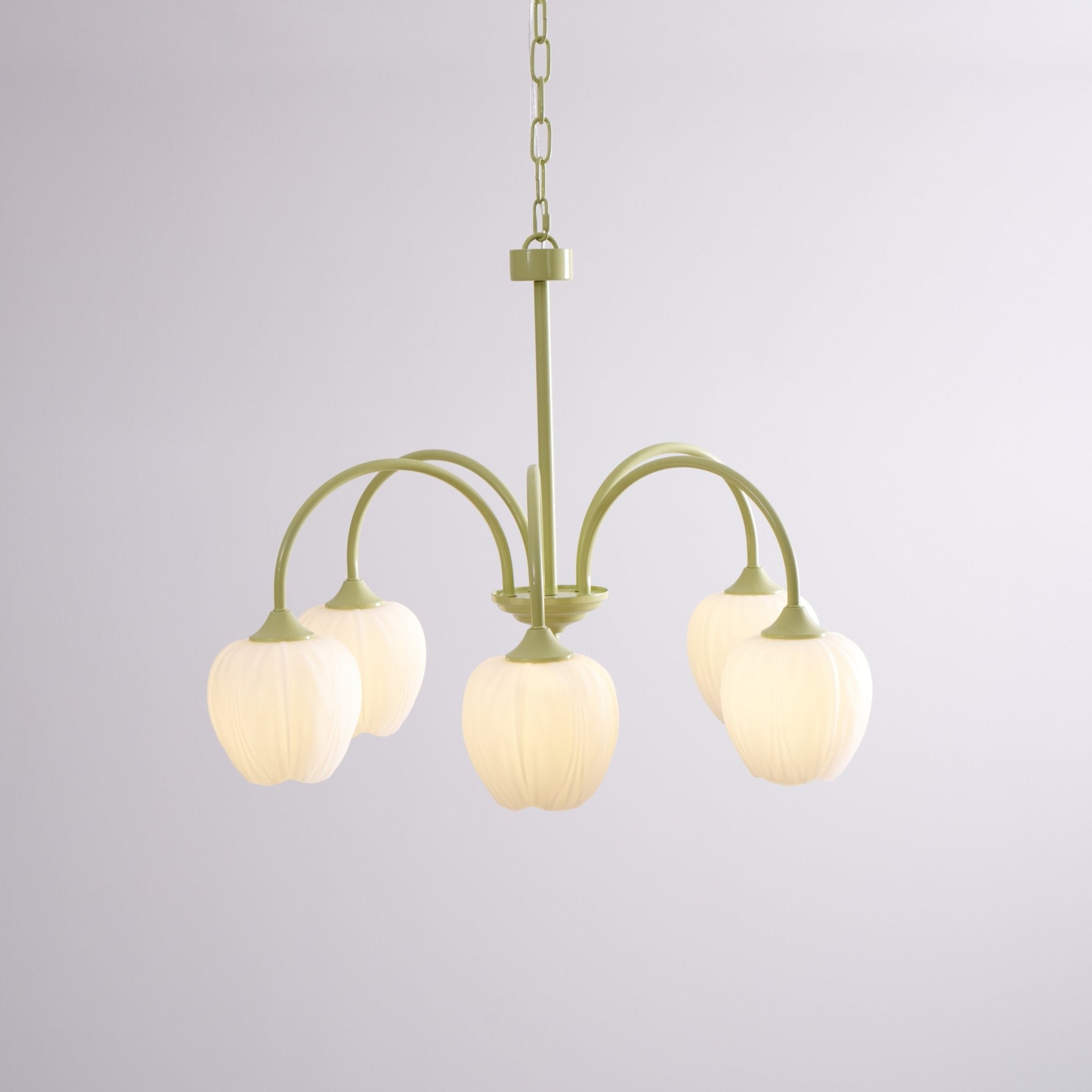 Alevovaor Tulip Chandelier