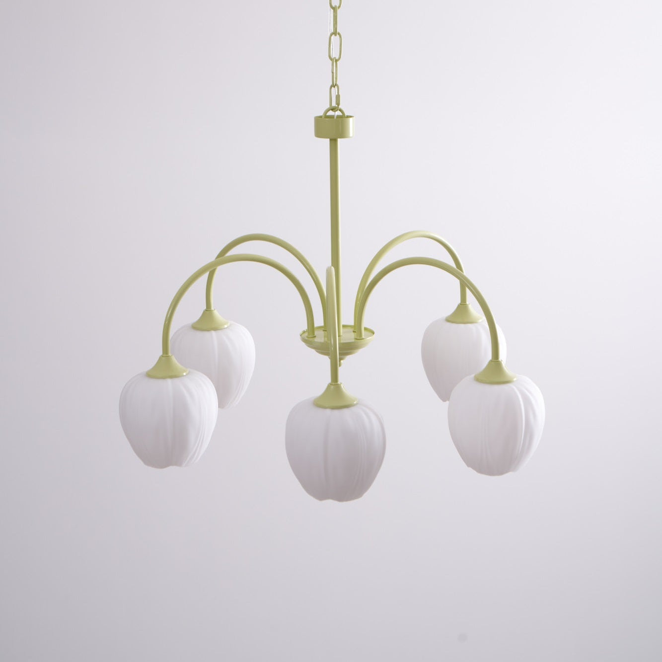 Alevovaor Tulip Chandelier