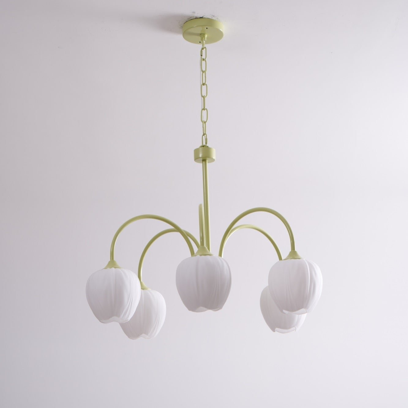 Alevovaor Tulip Chandelier