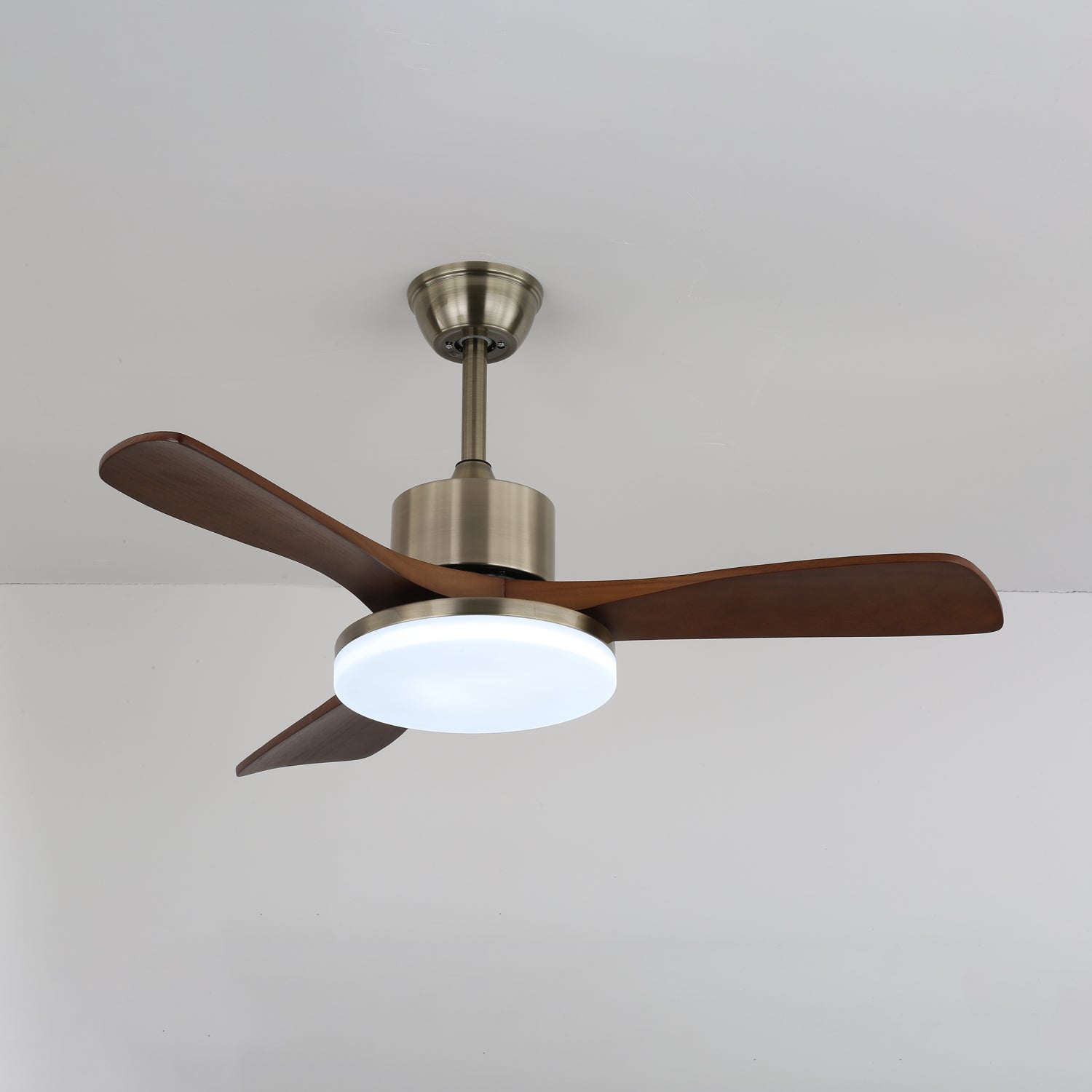 Feroza Ceiling Fan Light