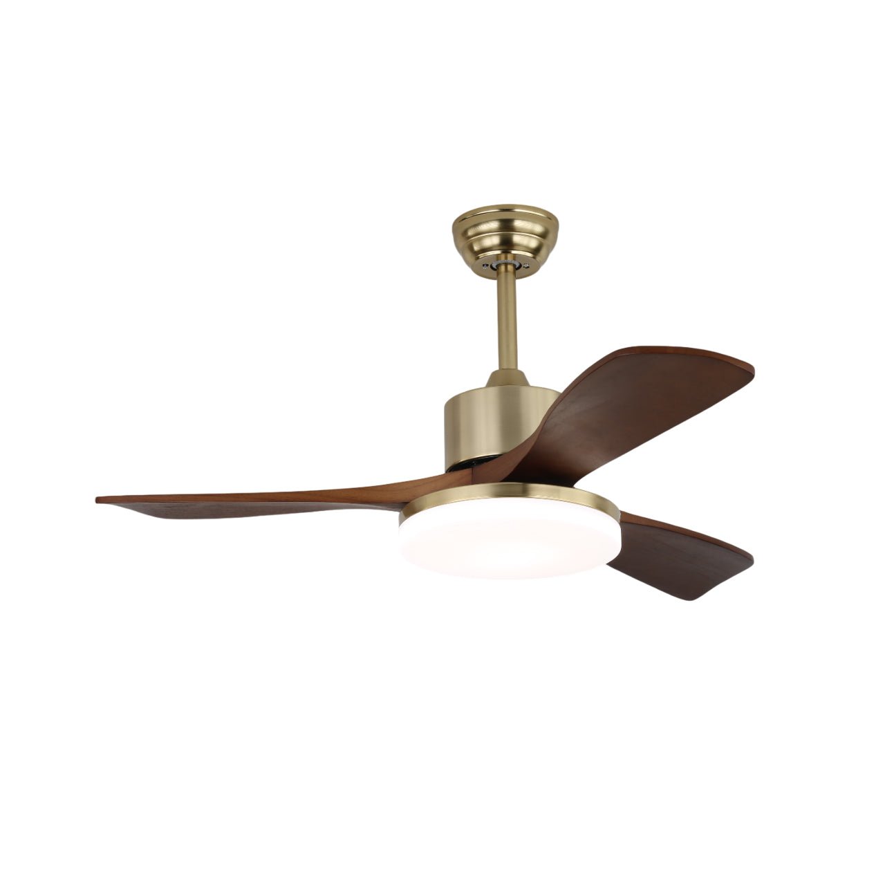 Feroza Ceiling Fan Light