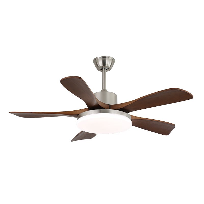 Arellian Ceiling Fan Light