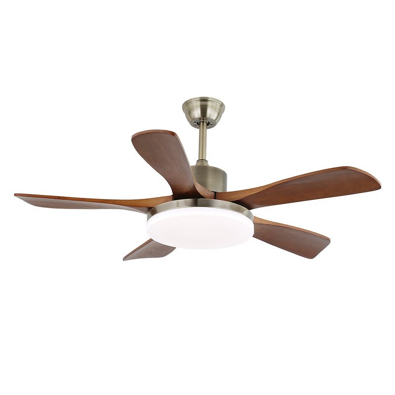 Arellian Ceiling Fan Light