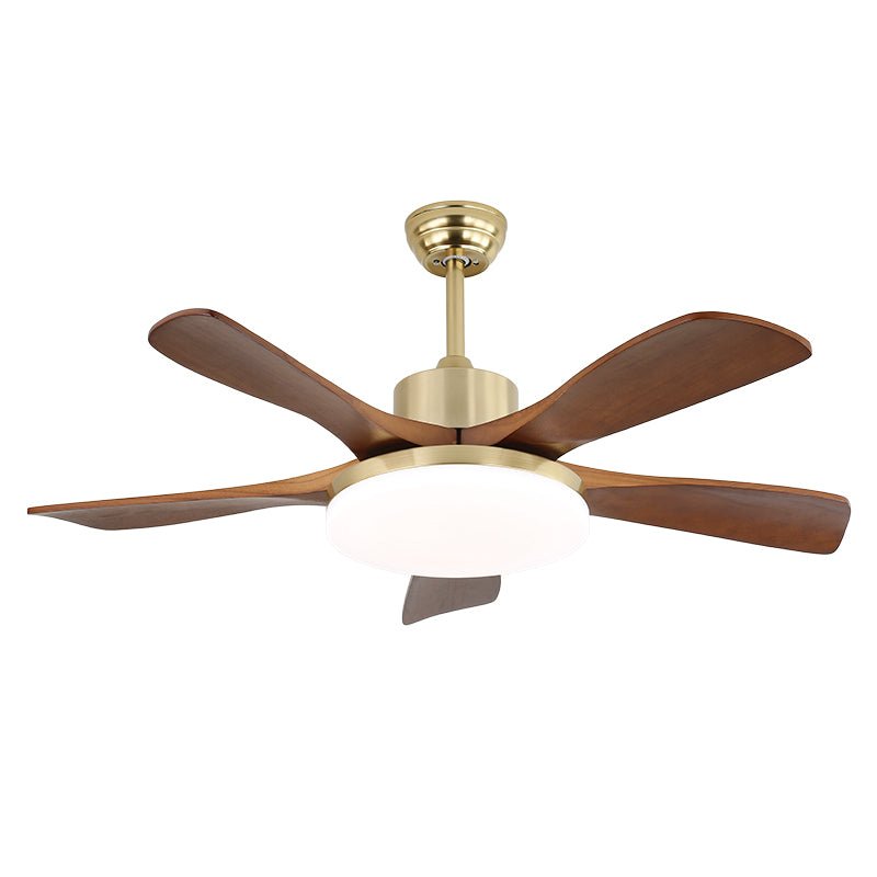 Arellian Ceiling Fan Light