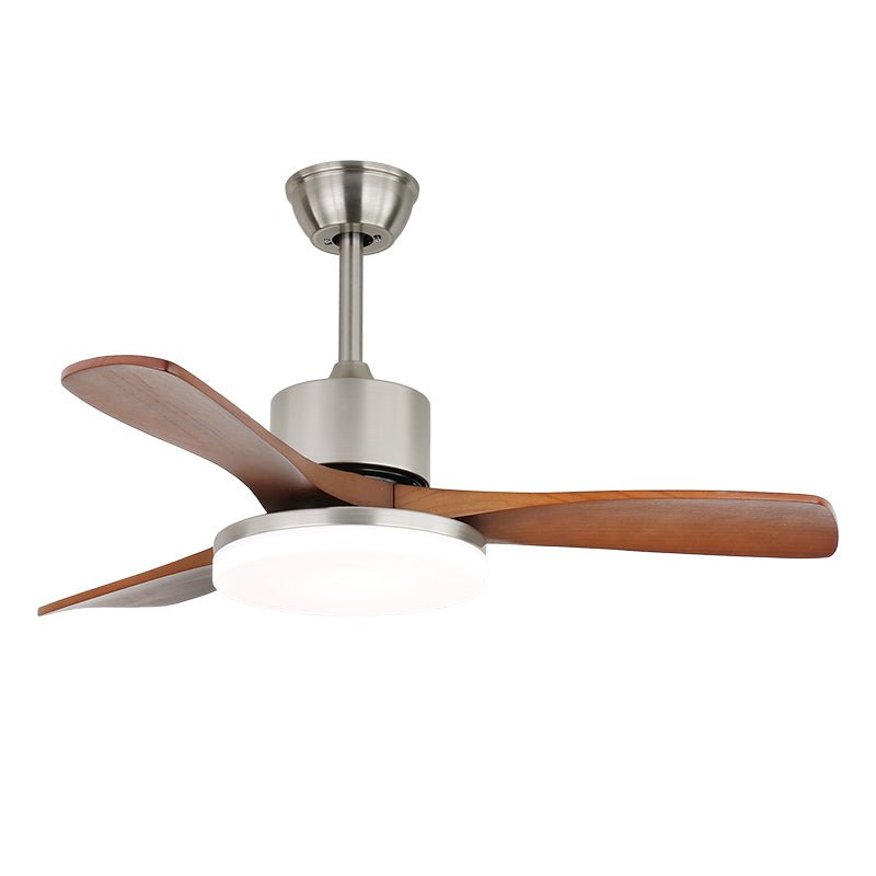 Arellian Ceiling Fan Light