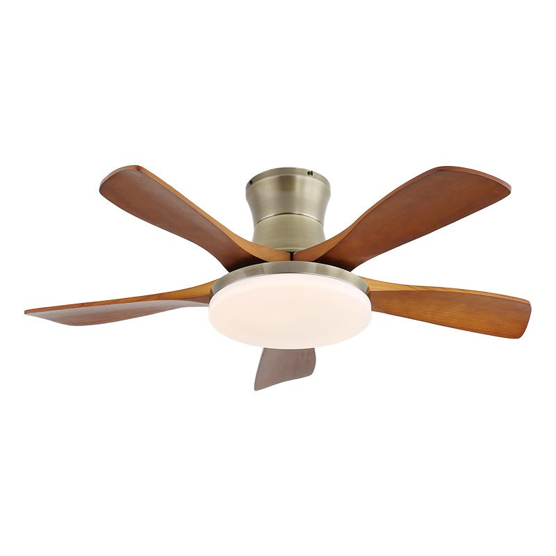 Arellian Ceiling Fan Light