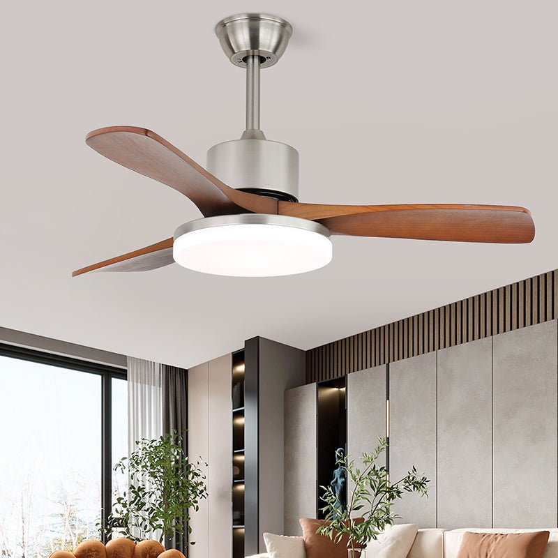Arellian Ceiling Fan Light