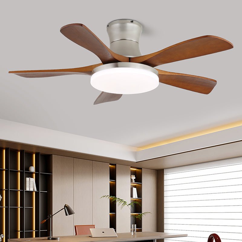 Arellian Ceiling Fan Light