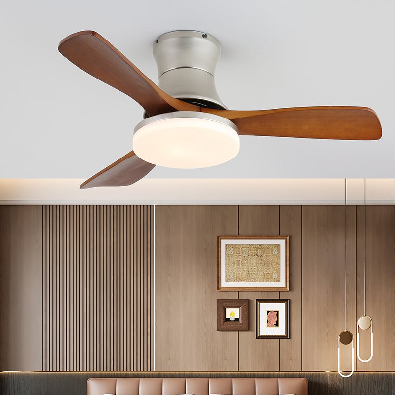 Arellian Ceiling Fan Light