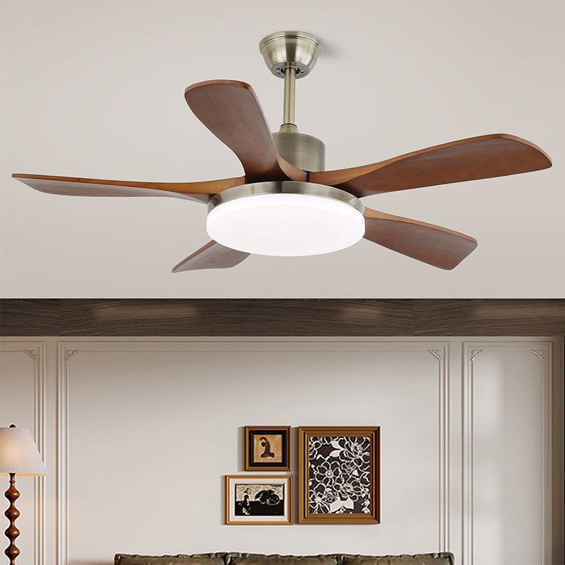 Arellian Ceiling Fan Light