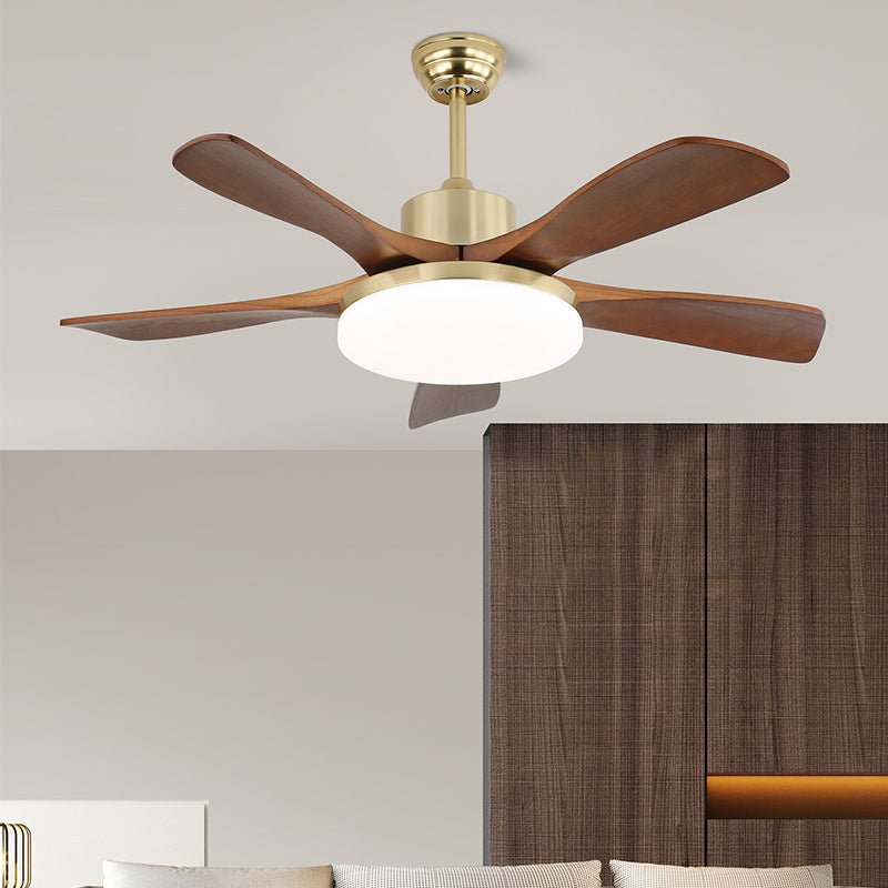 Arellian Ceiling Fan Light