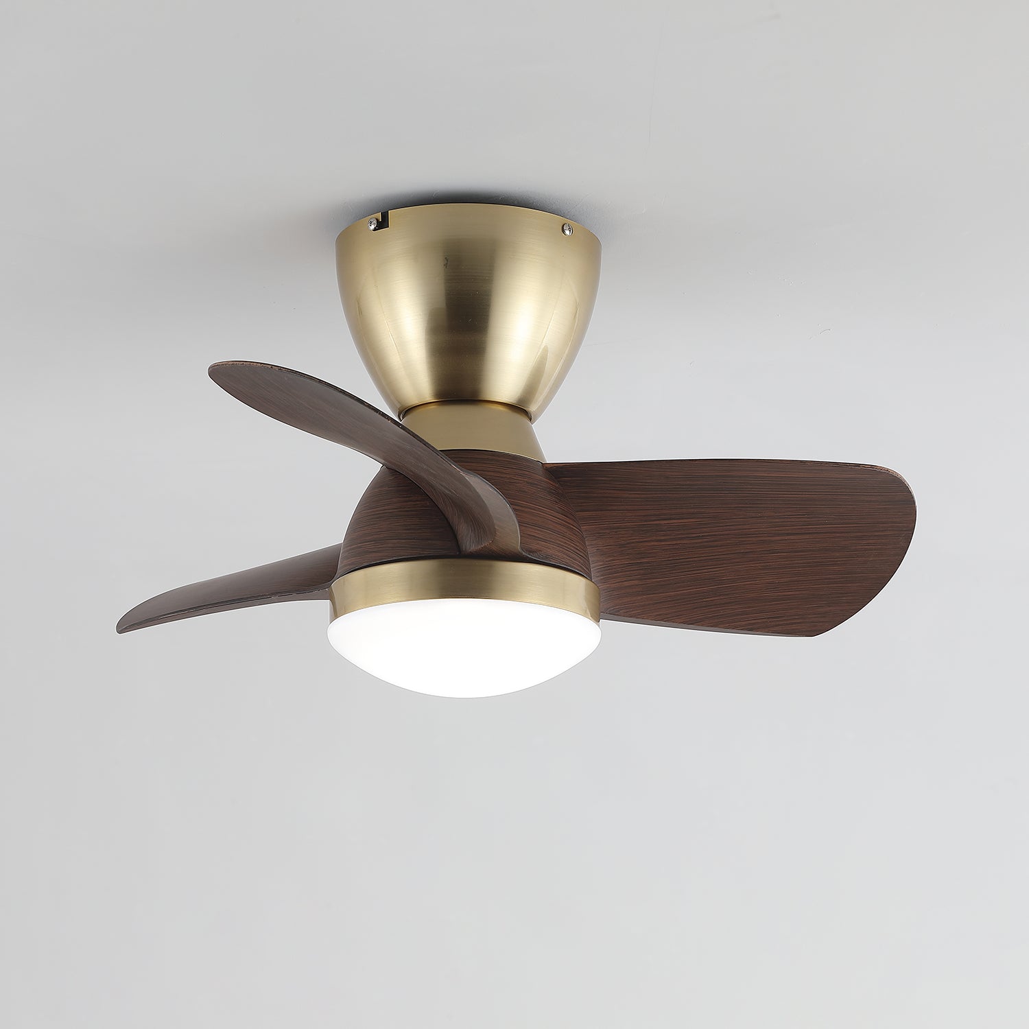 Forelso Ceiling Fan Light