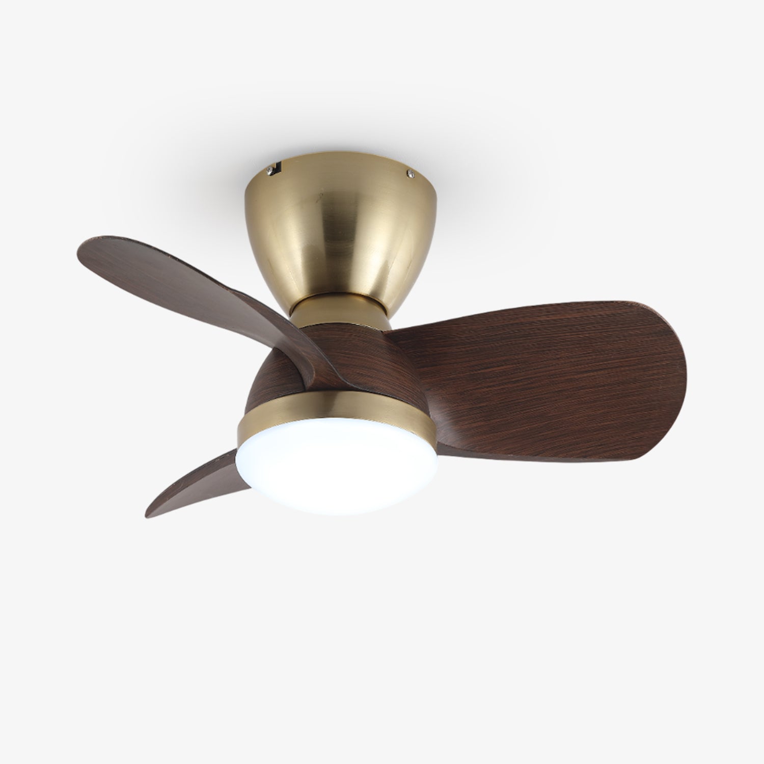 Forelso Ceiling Fan Light