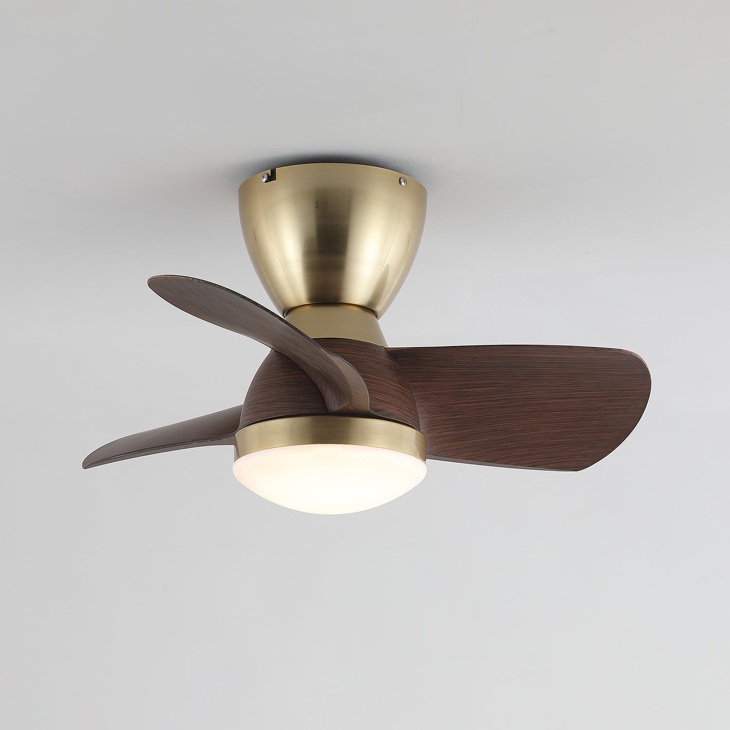 Forelso Ceiling Fan Light