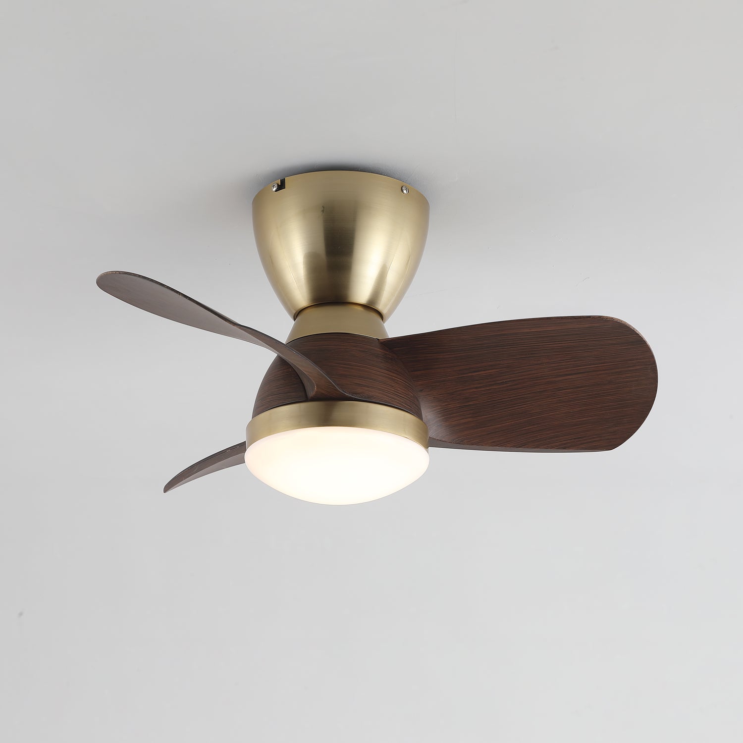 Forelso Ceiling Fan Light