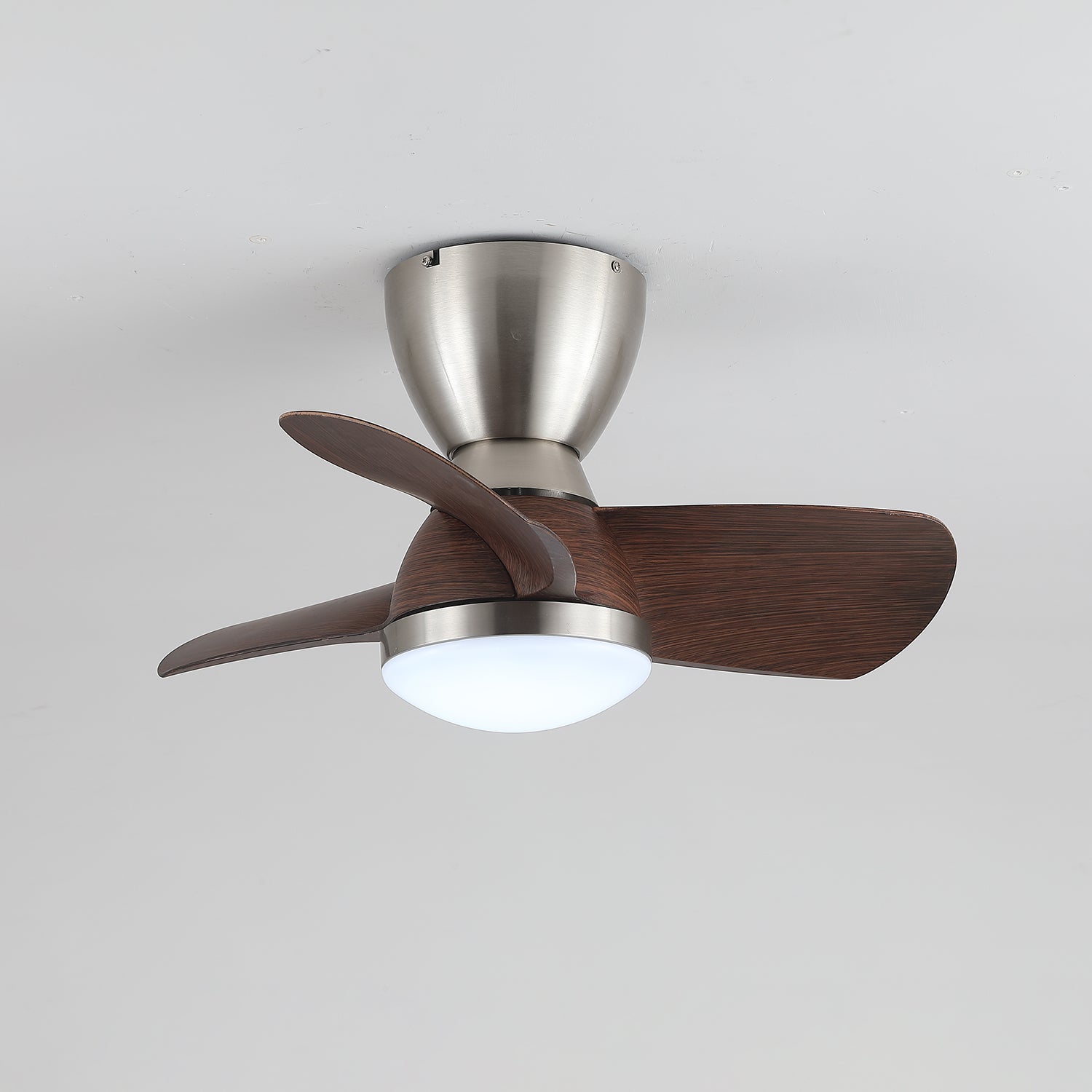 Forelso Ceiling Fan Light