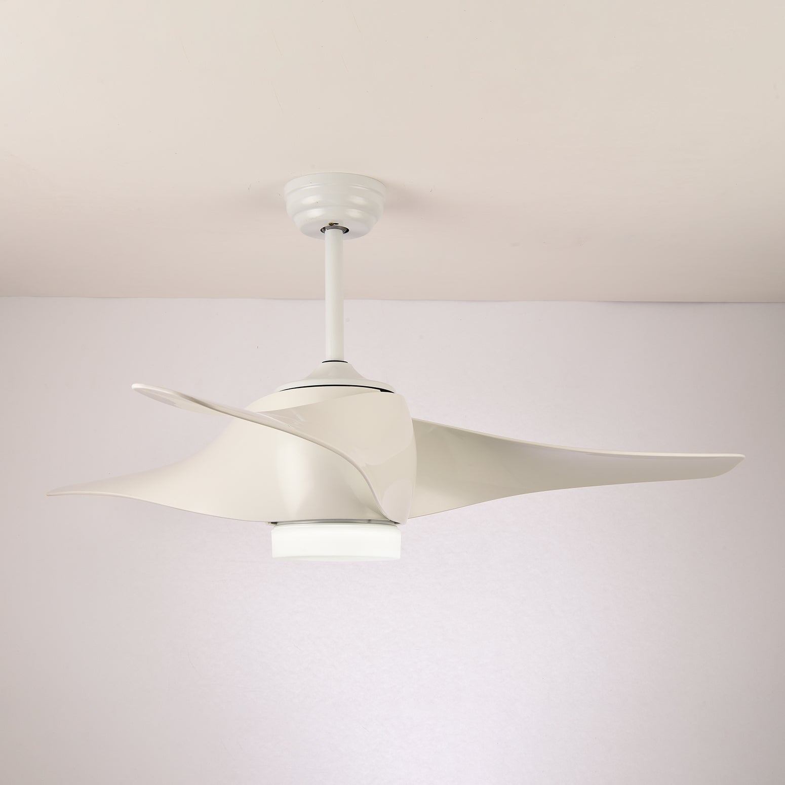 Ziressa Ceiling Fan Light