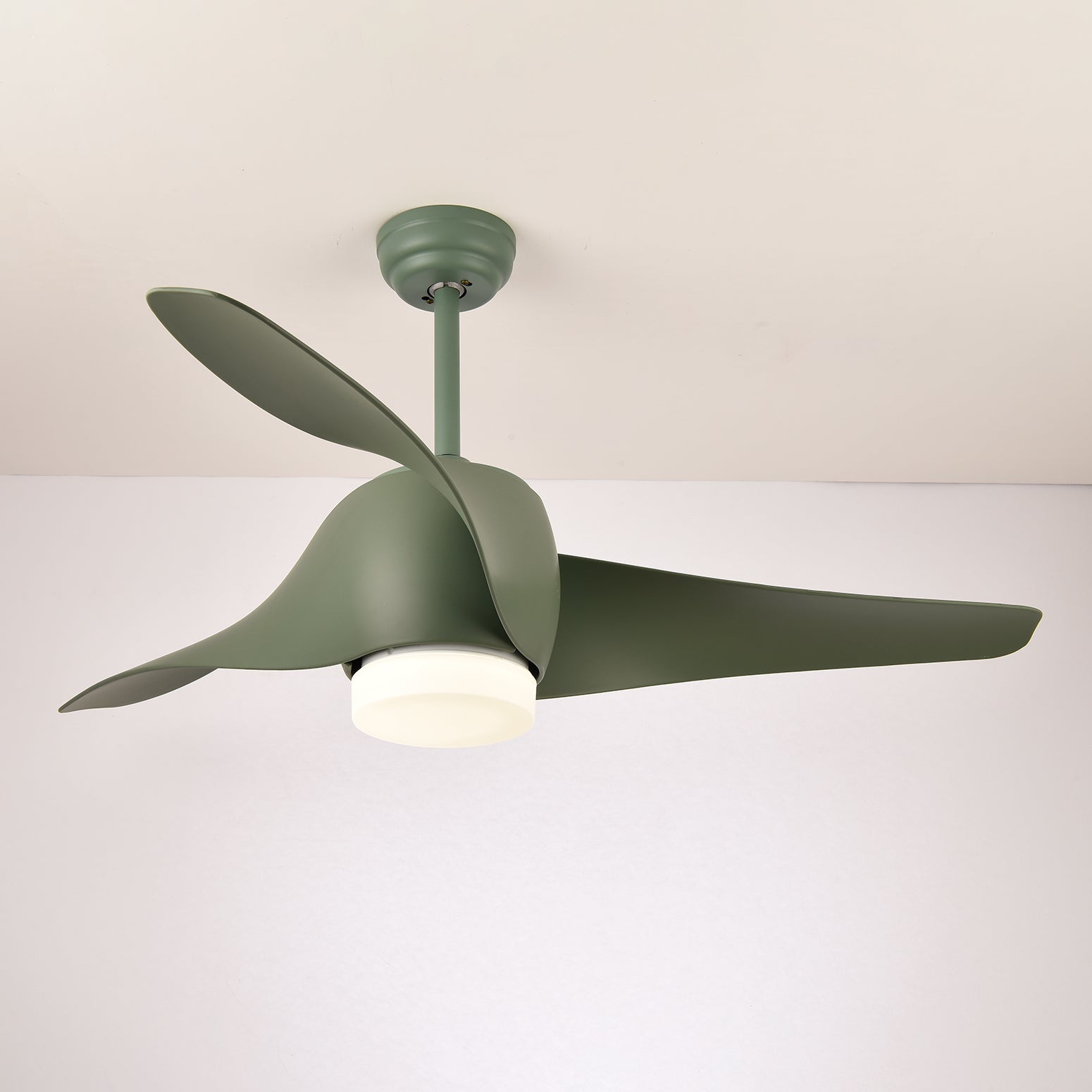 Ziressa Ceiling Fan Light