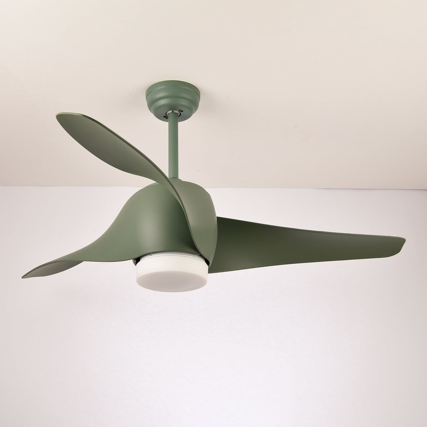 Ziressa Ceiling Fan Light
