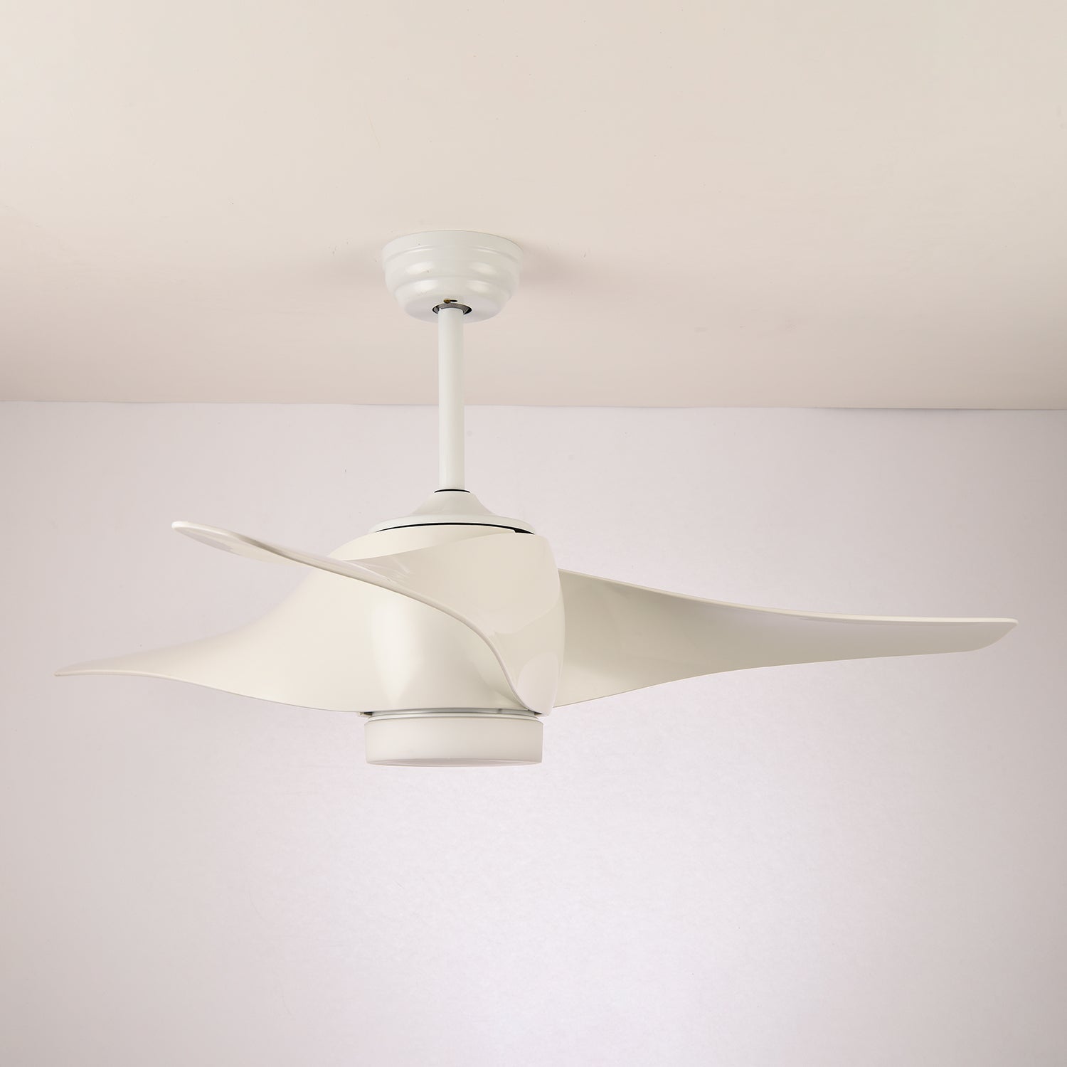Ziressa Ceiling Fan Light