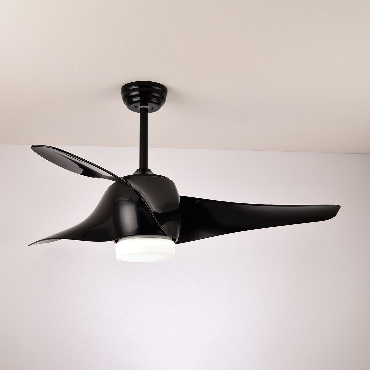 Ziressa Ceiling Fan Light