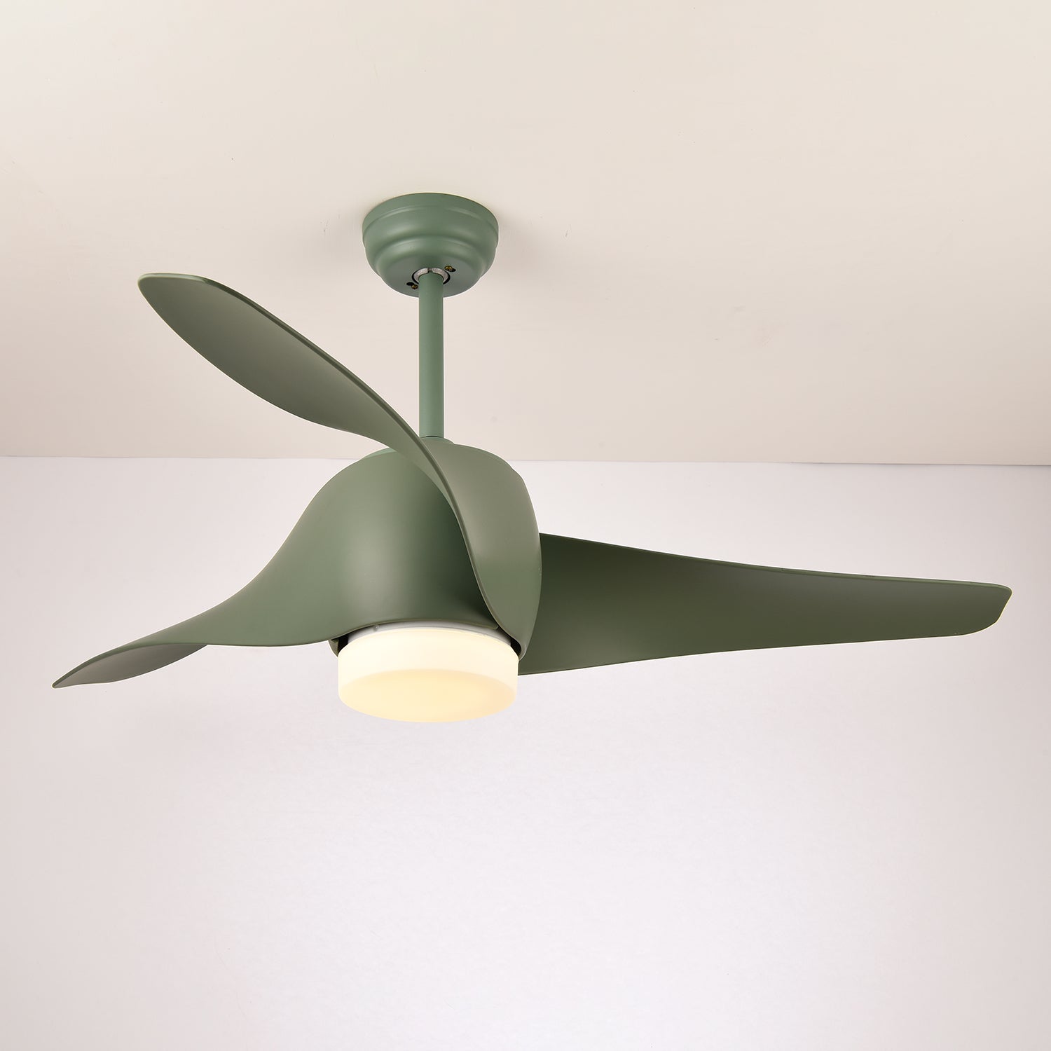 Ziressa Ceiling Fan Light