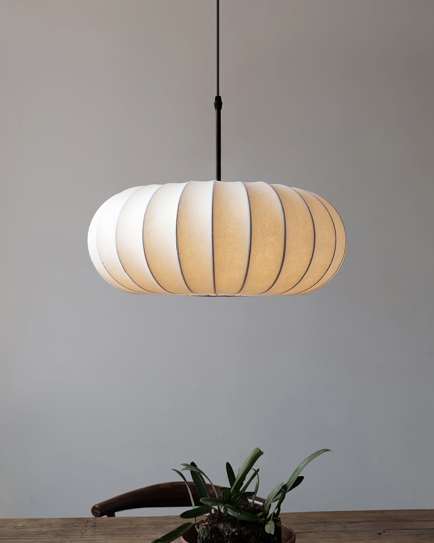 Zeloreve Plug In Pendant Light
