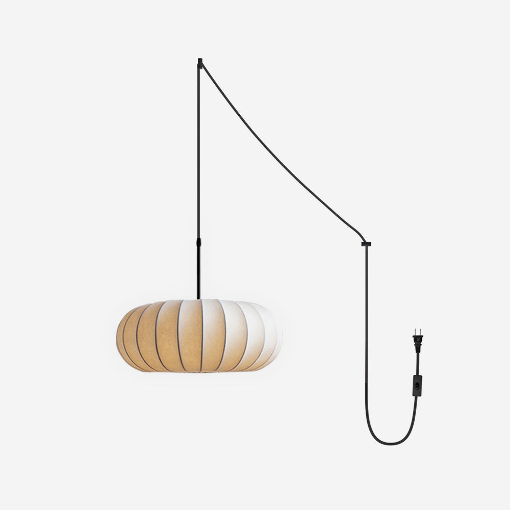 Zeloreve Plug In Pendant Light